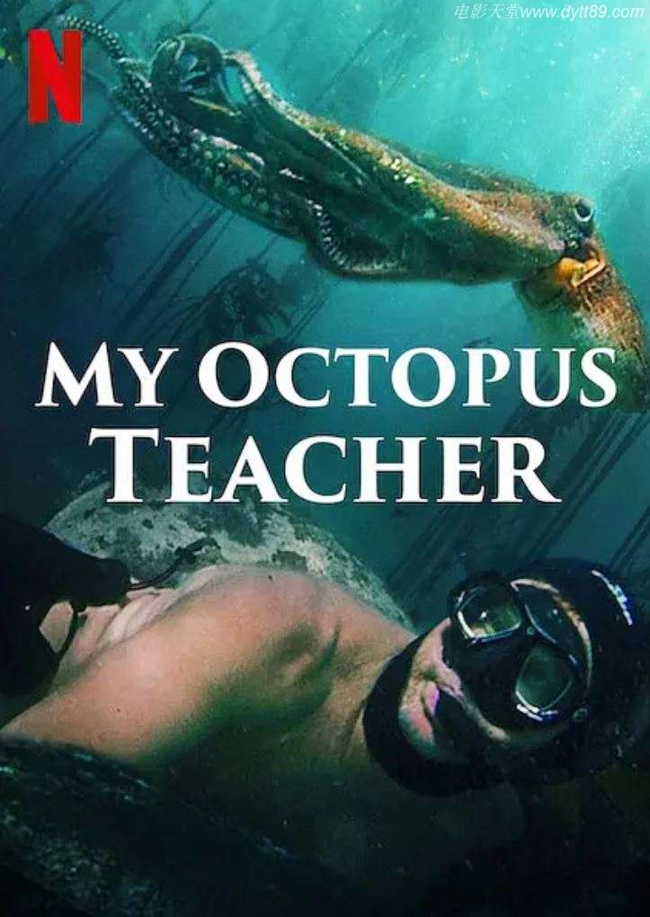 《My Octopus Teacher》2020年电影百度云迅雷链接下载_磁力下载