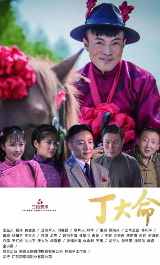 《丁大命》2018年电视剧百度云在线播放下载_磁力下载