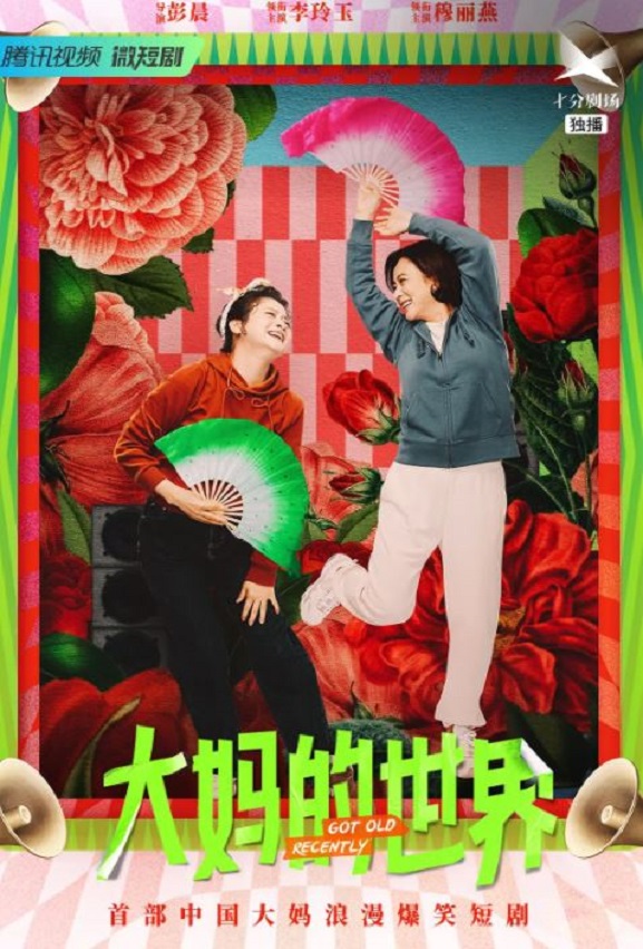 《大妈的世界》2021年电视剧百度云在线播放下载_磁力下载