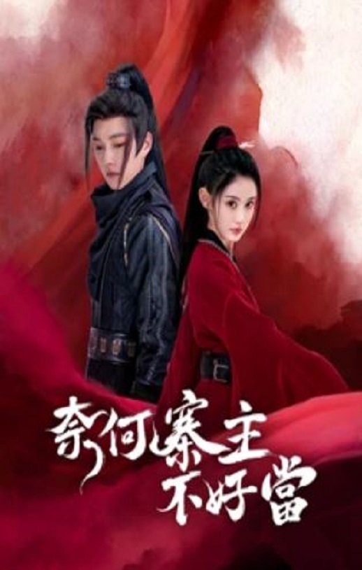 《奈何寨主不好当》2023年电视剧百度云在线播放下载_磁力下载