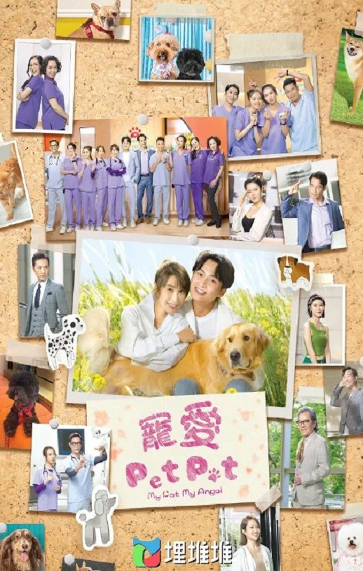 《寵愛Pet Pet》2023年电视剧百度云迅雷链接下载_磁力下载