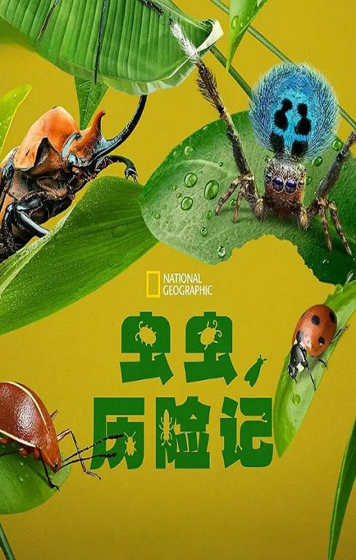 《虫虫历险记》2024年电视剧高清电影播放链接下载_磁力下载