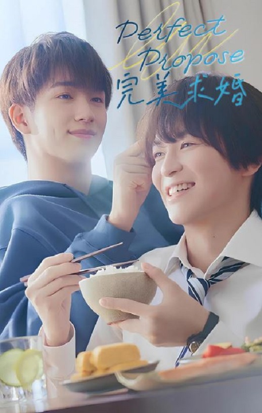 《完美求婚》2024年电视剧115网盘播放_磁力下载