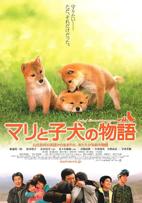 《爱犬的奇迹》2007年电影百度云在线播放下载_磁力下载