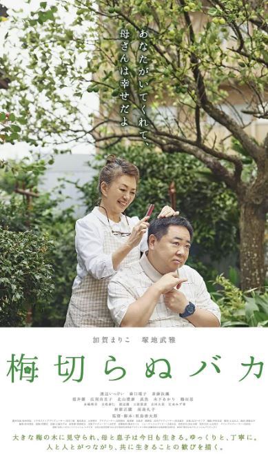 《不砍梅树的傻瓜》2021年电影高清电影迅雷百度云下载_磁力下载