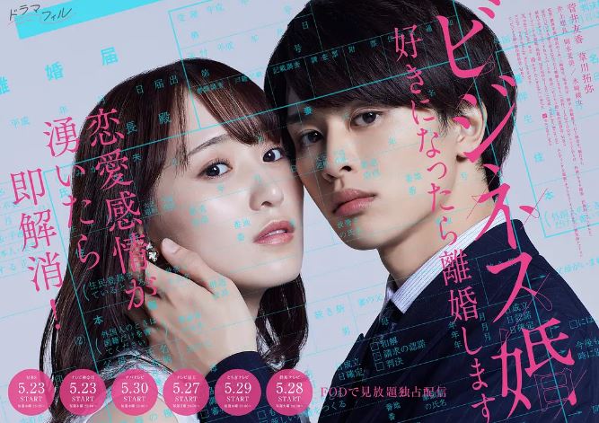 《商业婚姻—喜欢上了就离婚》2024年电视剧高清电影播放链接下载_磁力下载