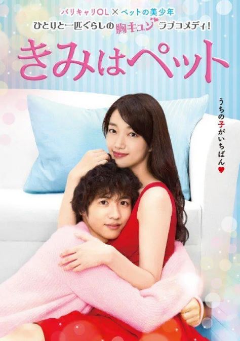 《宠物情人》2017年电视剧115网盘播放_磁力下载