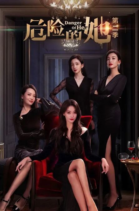 《危险的她 第二季》2024年电视剧百度云迅雷链接下载_磁力下载