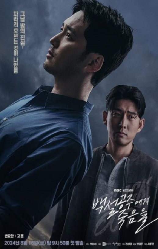 《白雪公主必须死》2024年电视剧115网盘播放_磁力下载
