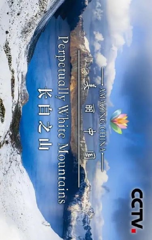 《美丽中国》2019年电视剧百度云迅雷链接下载_磁力下载