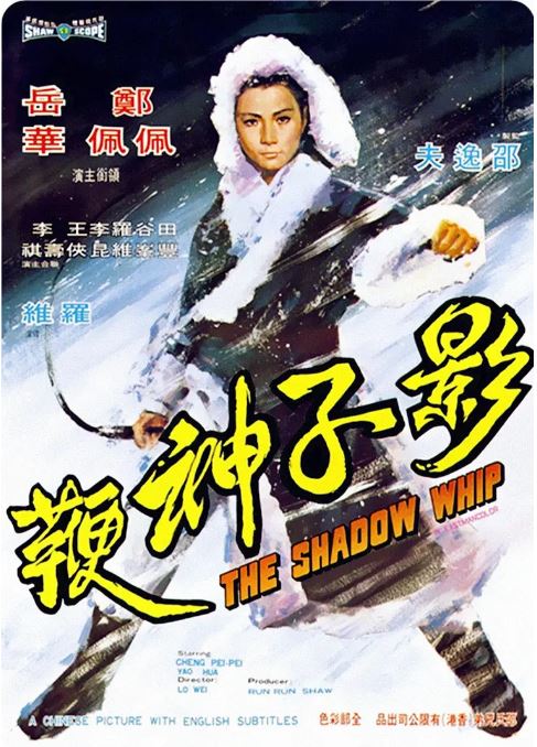 《影子神鞭》1971年电影百度云迅雷链接下载_磁力下载