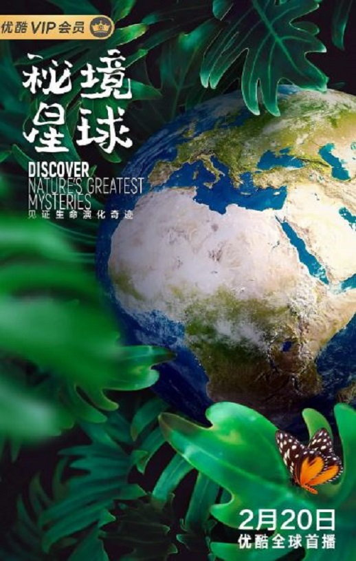 《秘境星球》2020年电视剧百度云迅雷链接下载_磁力下载