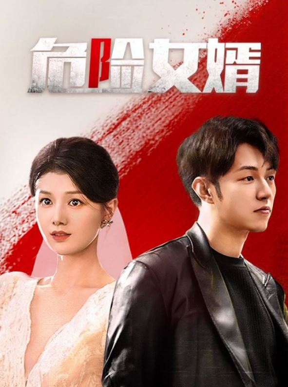 《危险女婿》2025年电视剧高清电影播放链接下载_磁力下载