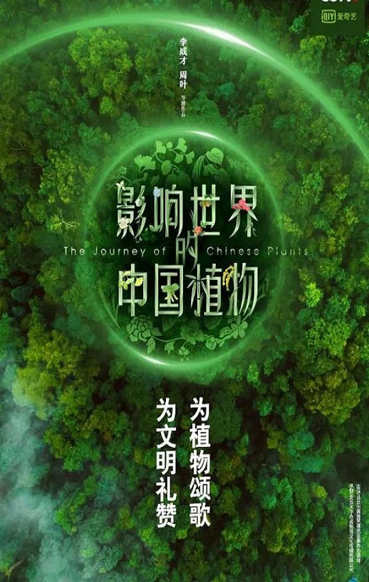 《影响世界的中国植物》2019年电视剧百度云在线播放下载_磁力下载