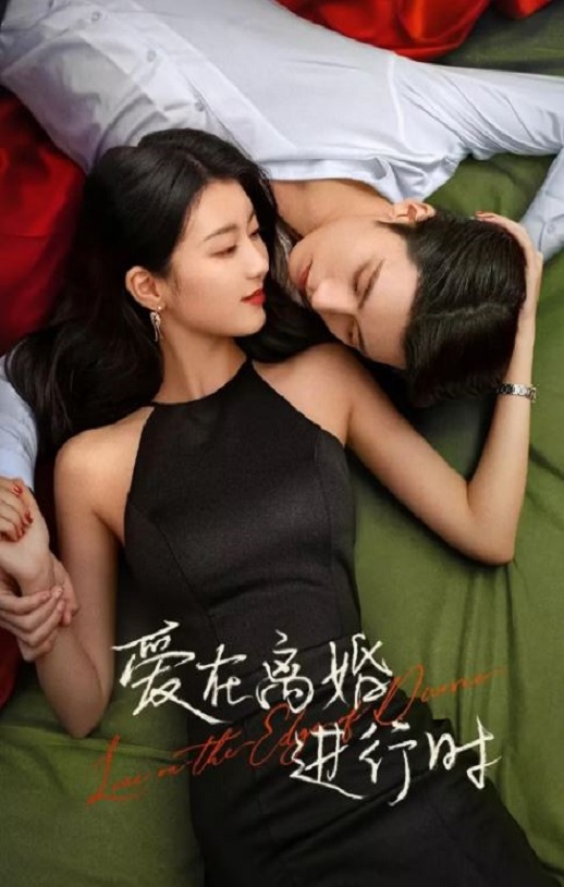《爱在离婚进行时》2025年电视剧高清电影迅雷百度云下载_磁力下载