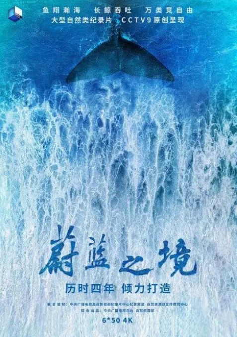 《蔚蓝之境》2020年电视剧115网盘播放_磁力下载