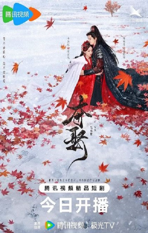 《夺娶》2025年电视剧高清电影迅雷百度云下载_磁力下载
