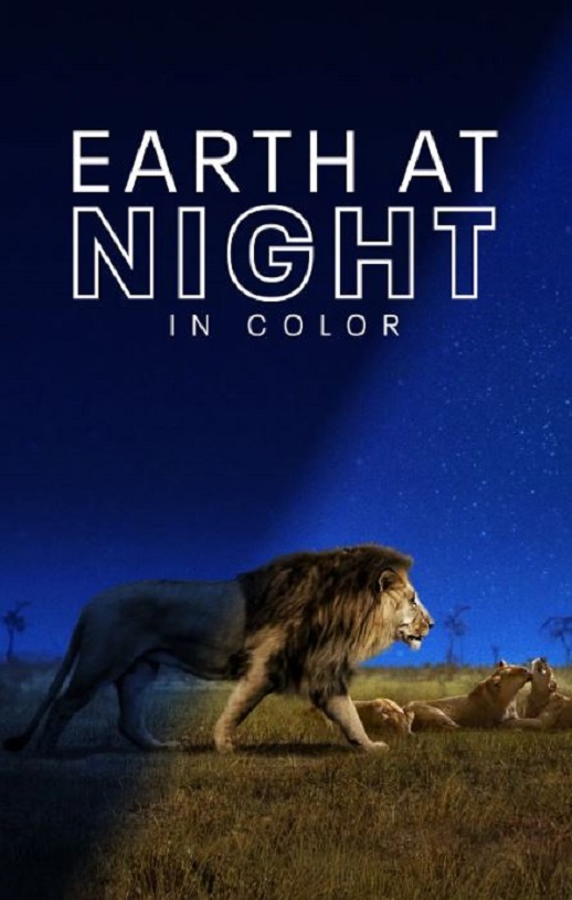 《夜色中的地球 第一季》2020年电视剧百度云在线播放下载_磁力下载