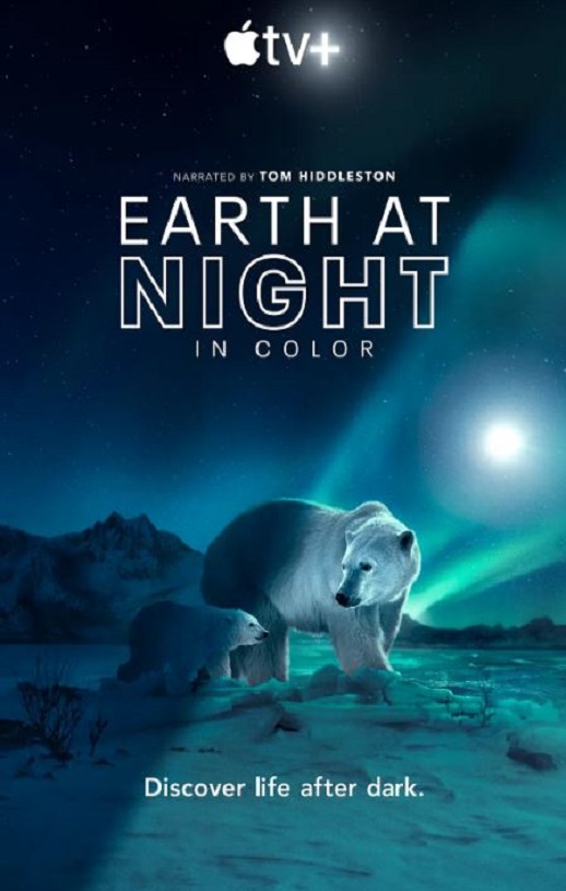 《夜色中的地球 第二季》2021年电视剧115网盘播放_磁力下载