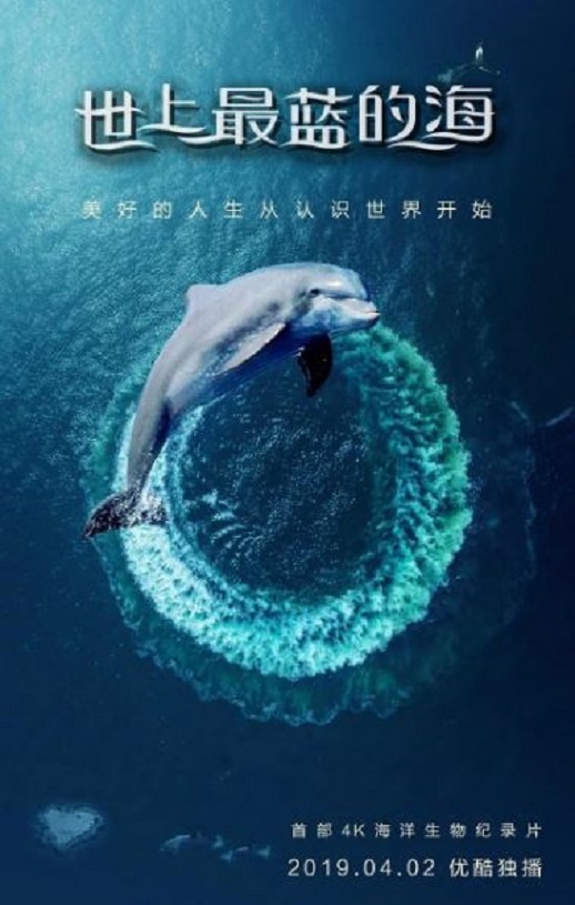 《世上最蓝的海》2019年电视剧高清电影迅雷百度云下载_磁力下载