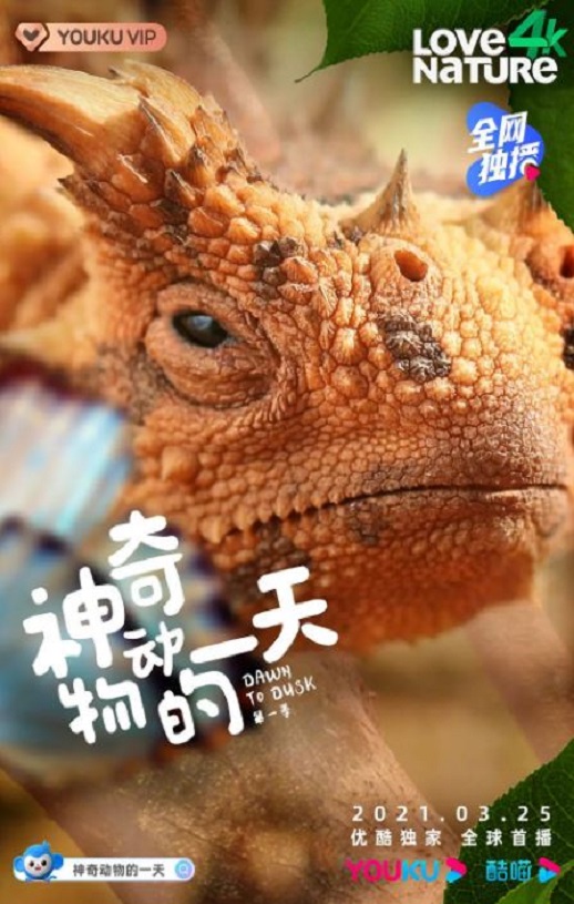 《神奇动物的一天 第一季》2021年电视剧百度云迅雷链接下载_磁力下载