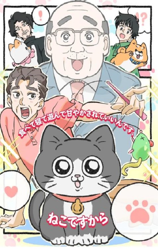 《转生成猫的大叔》2024年动漫下载百度云迅雷链接下载_磁力下载