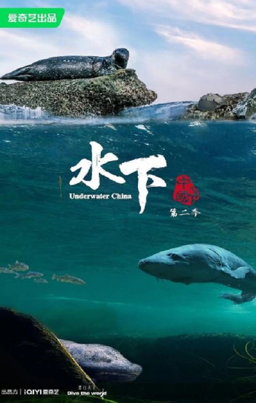 《水下中国 第二季》2024年电视剧百度云迅雷链接下载_磁力下载