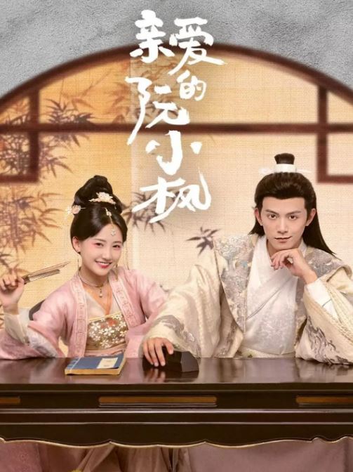 《亲爱的阮小枫》2025年电视剧百度云在线播放下载_磁力下载