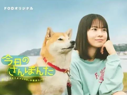 《今日份的散步》2025年电视剧百度云在线播放下载_磁力下载
