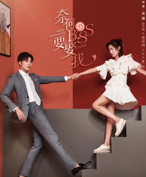 《奈何boss要娶我》2020年电视剧115网盘播放_磁力下载