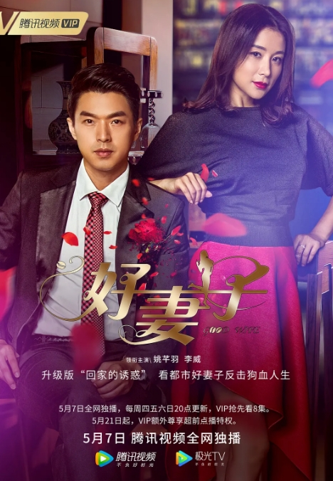 《好妻子》2020年电视剧高清电影迅雷百度云下载_磁力下载