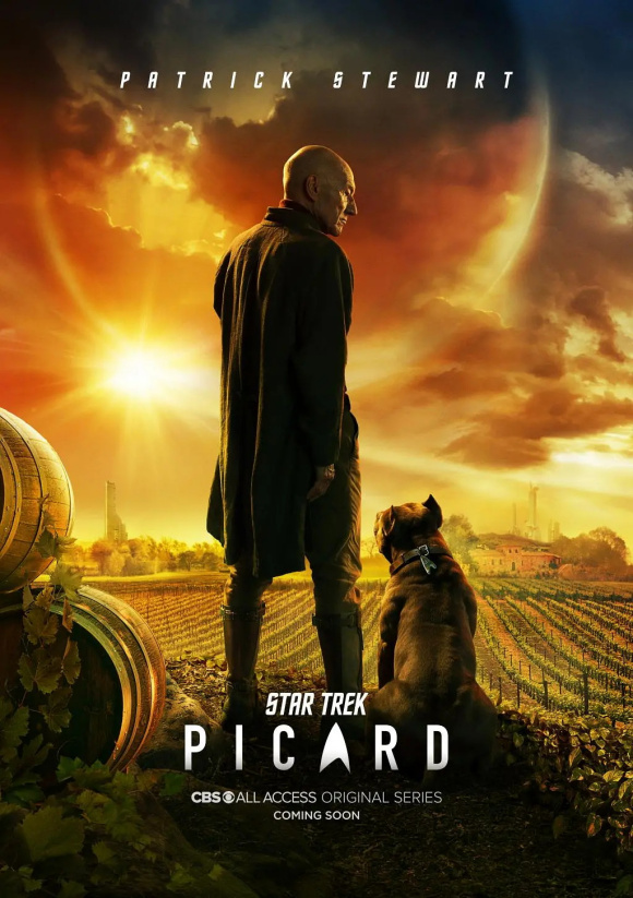 《星际迷航：皮卡德 第一季 Star Trek: Picard Season 1》2020年电视剧115网盘播放_磁力下载