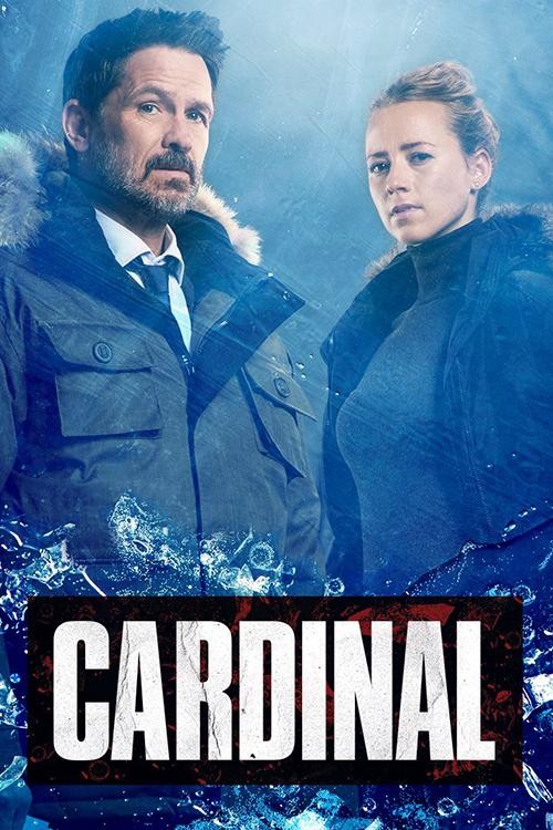 《卡迪纳尔/冰血缉凶 Cardinal 第四季》2020年电视剧115网盘播放_磁力下载